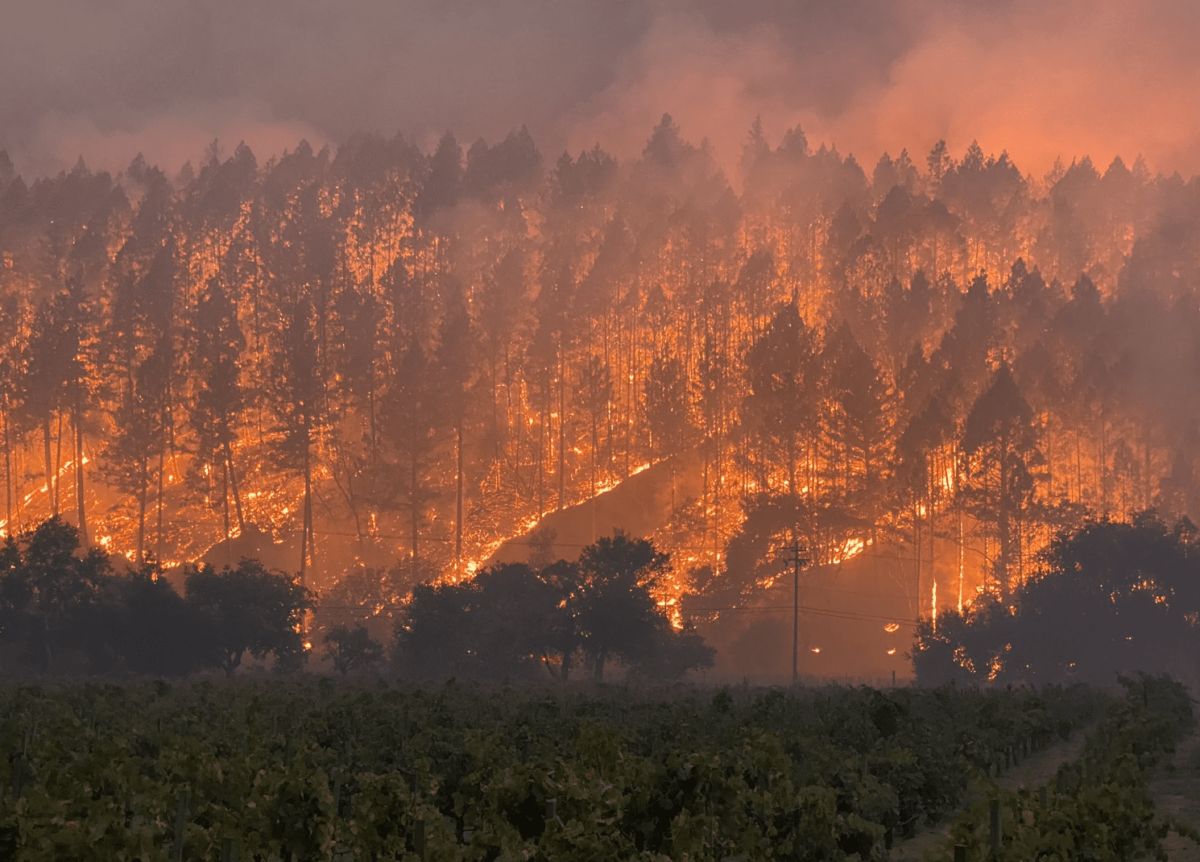 PLRB Large Loss Wildfire Panel The Institute of Fire Science
